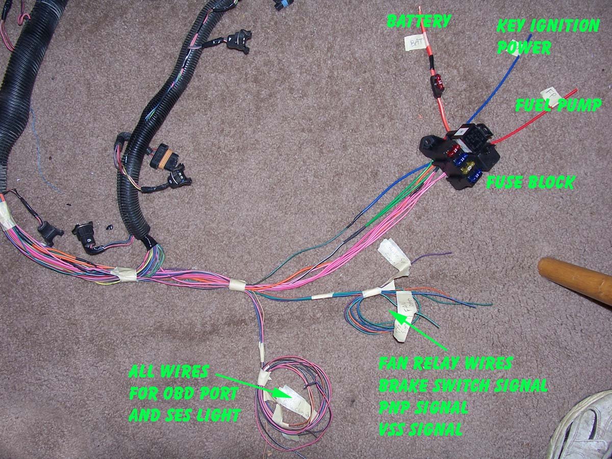 Lt1 Wiring Harness Diagram - flilpfloppinthrough
